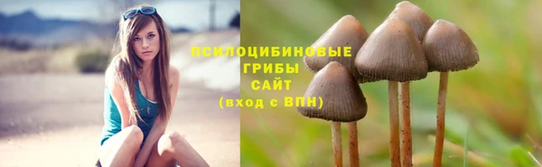 jwh Алексеевка