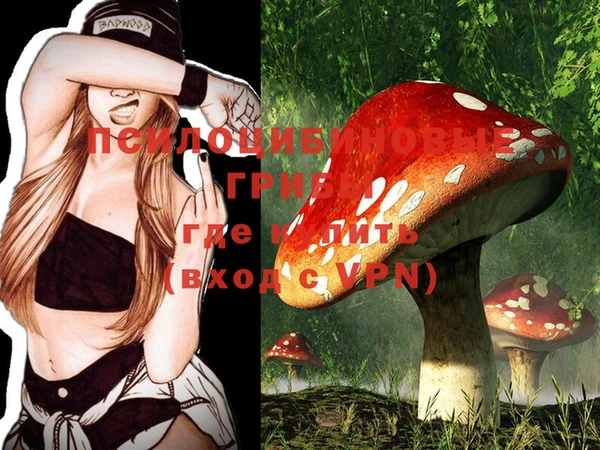 PSILOCYBIN Протвино